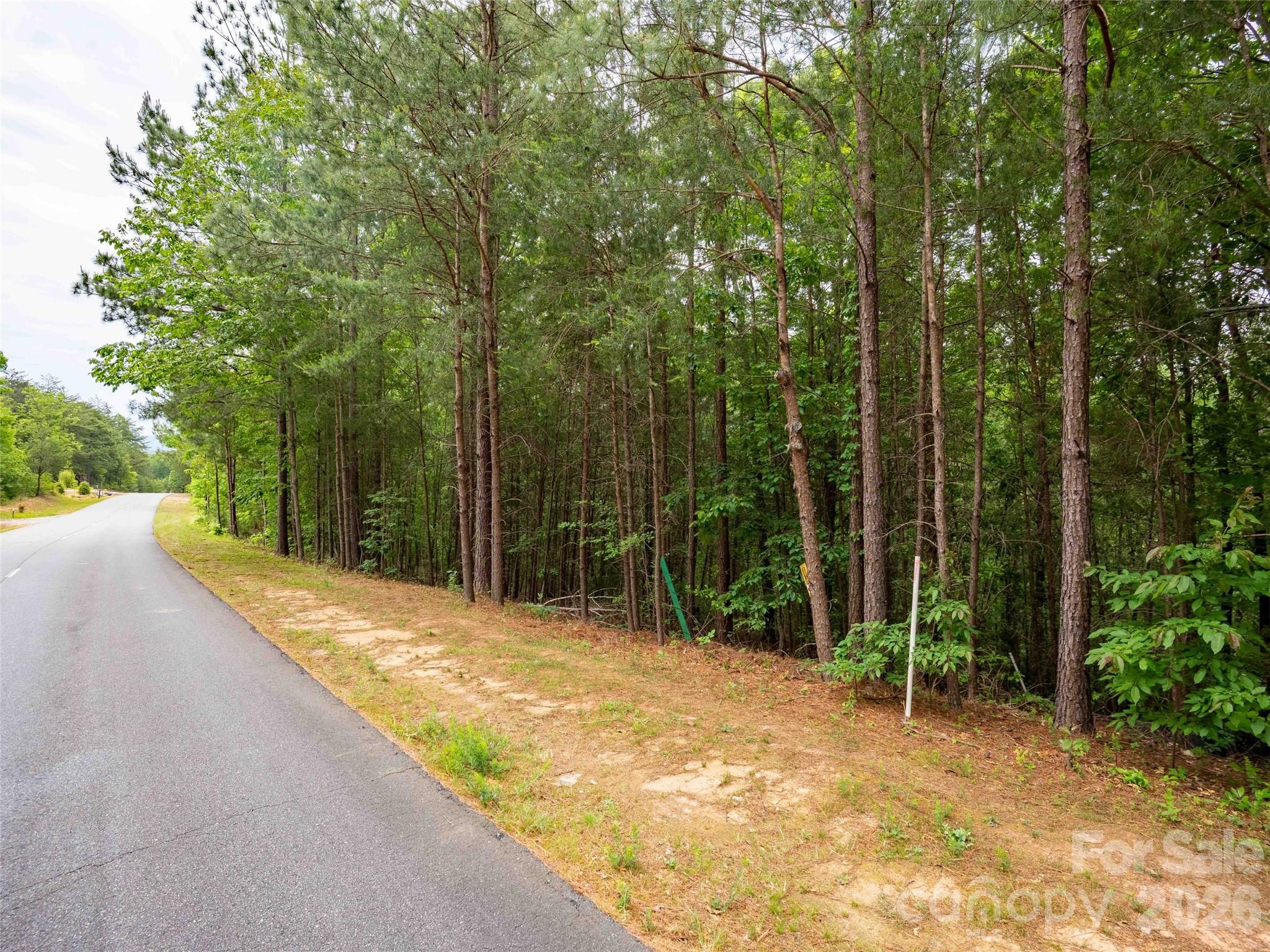 Lot 2009 Deep Gap Farm Rd Mill Spring West Mill Spring, NC 28756 - Photo 3 of 17