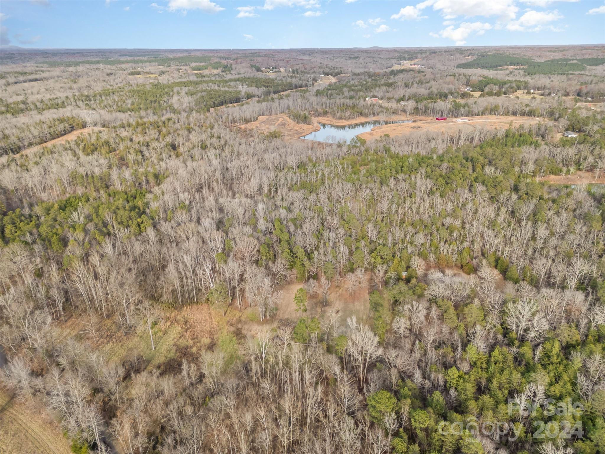 940 Turkey Creek Ridge Road York, SC 29745 - Photo 11 of 19