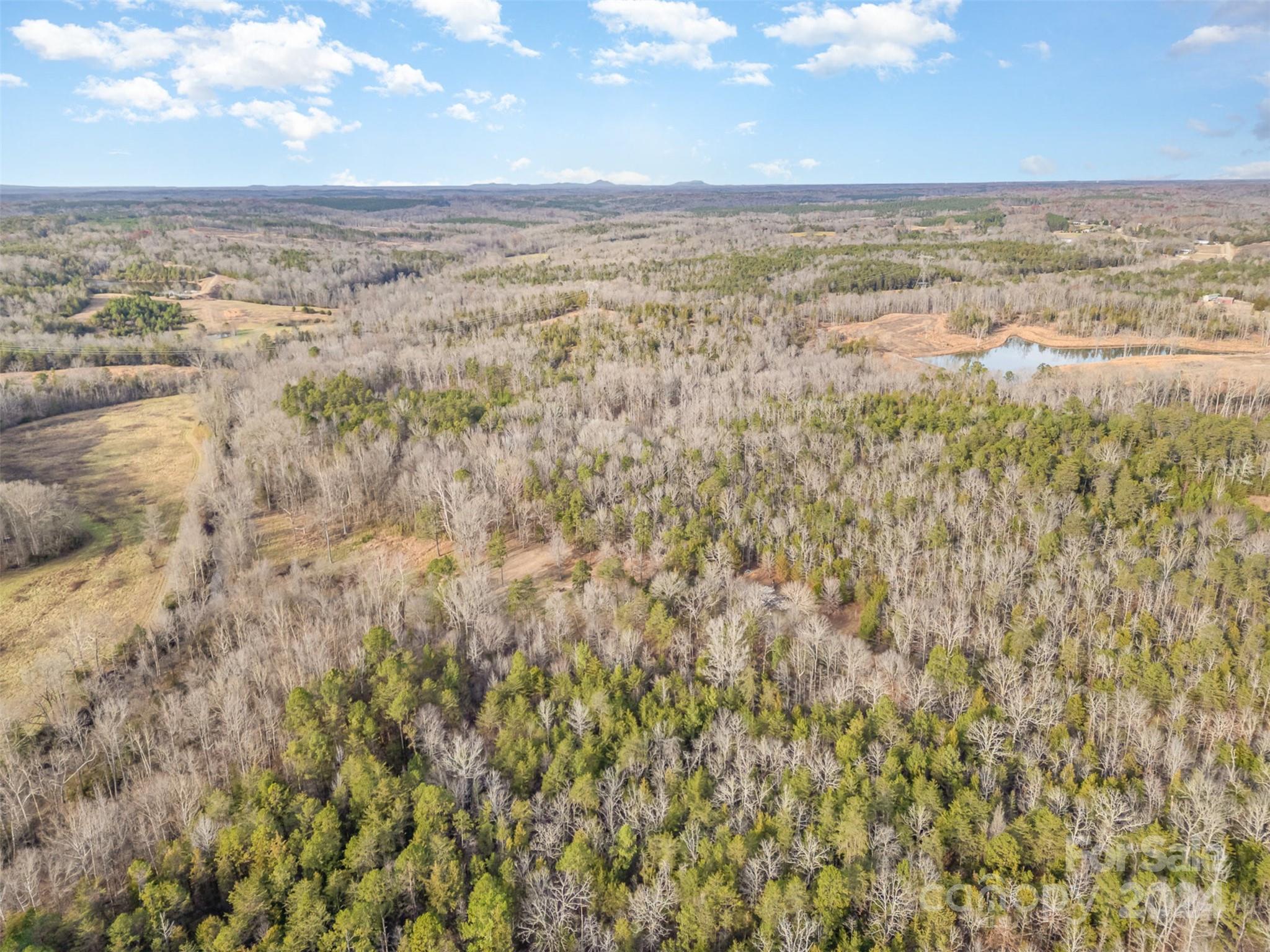 940 Turkey Creek Ridge Road York, SC 29745 - Photo 12 of 19