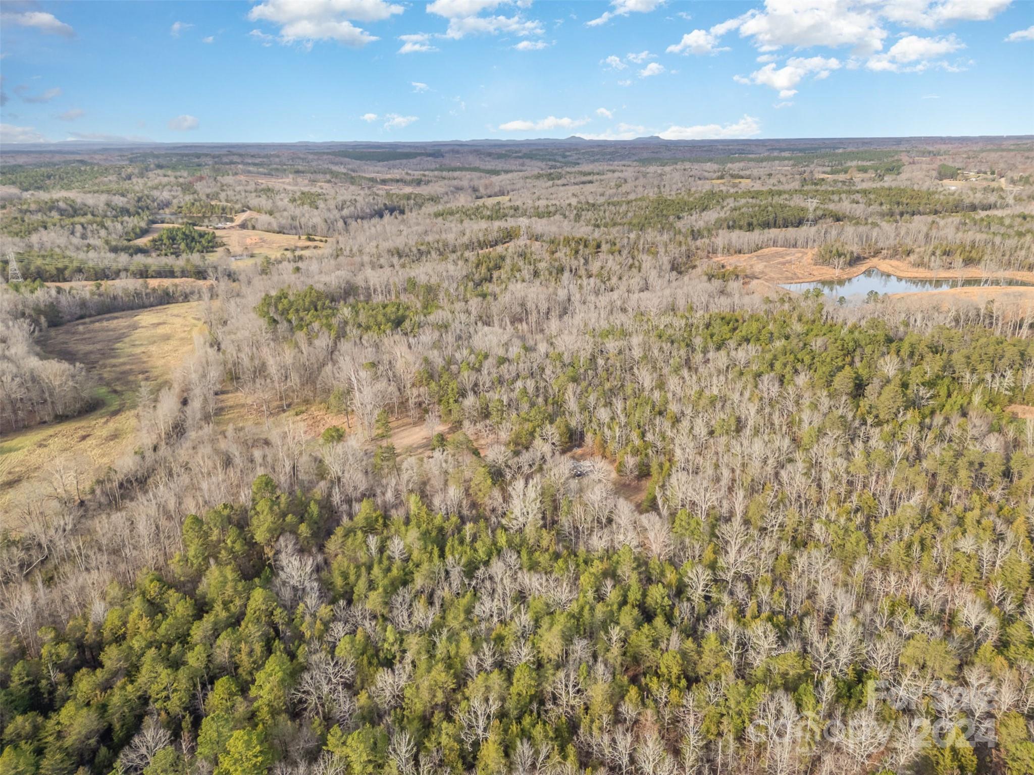 940 Turkey Creek Ridge Road York, SC 29745 - Photo 13 of 19