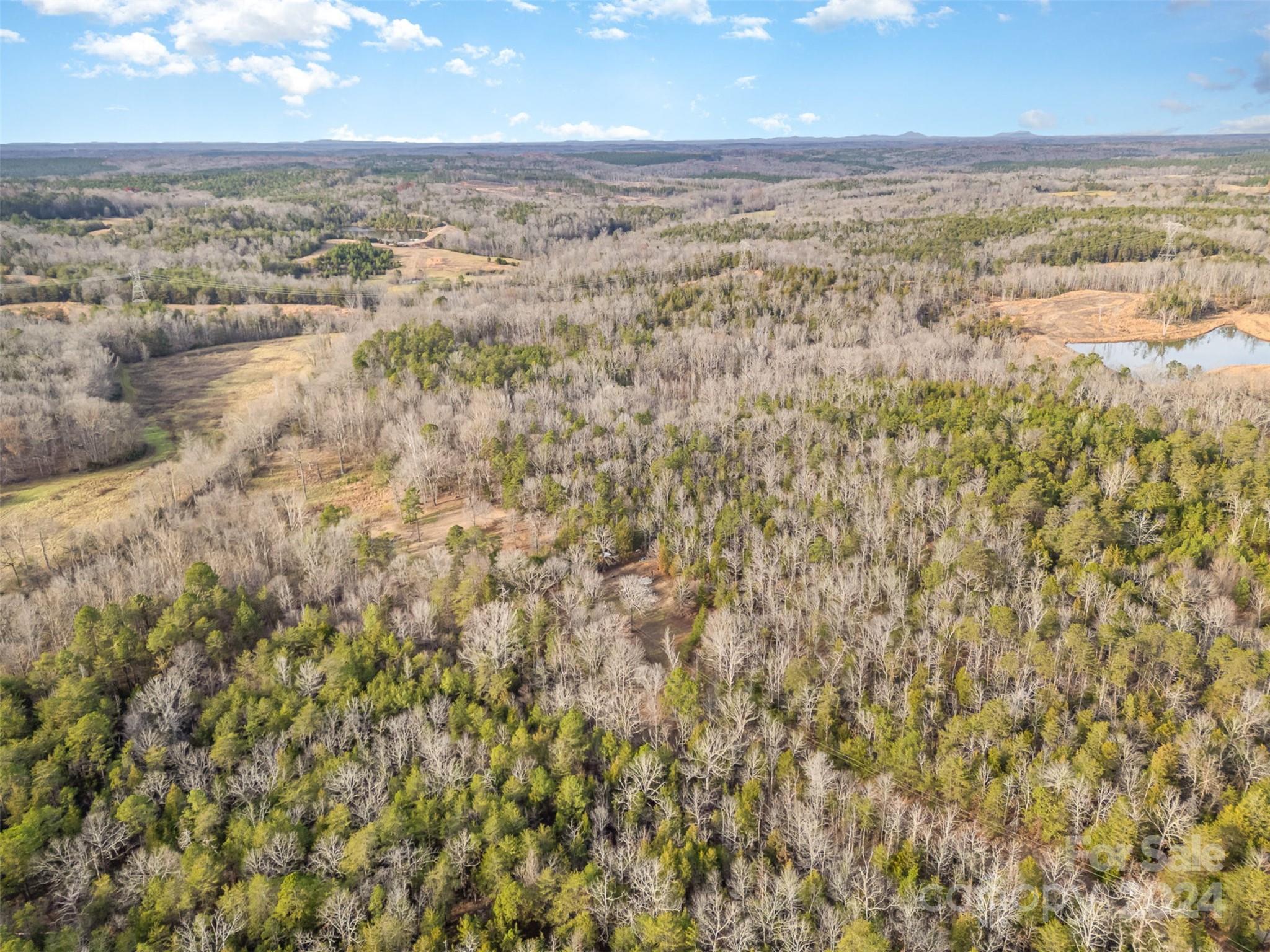 940 Turkey Creek Ridge Road York, SC 29745 - Photo 14 of 19