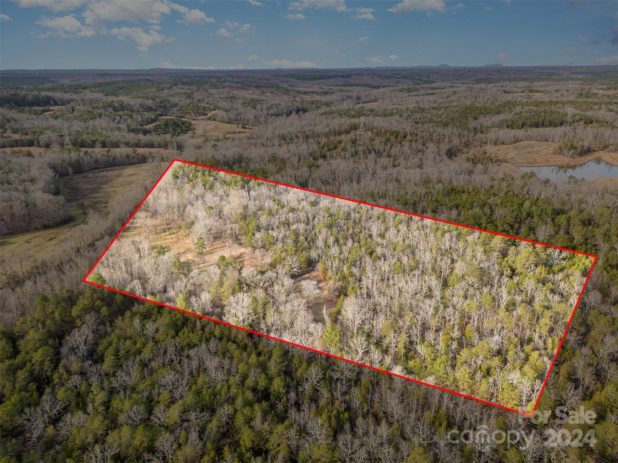 940 Turkey Creek Ridge Road York, SC 29745 - Photo 3 of 19