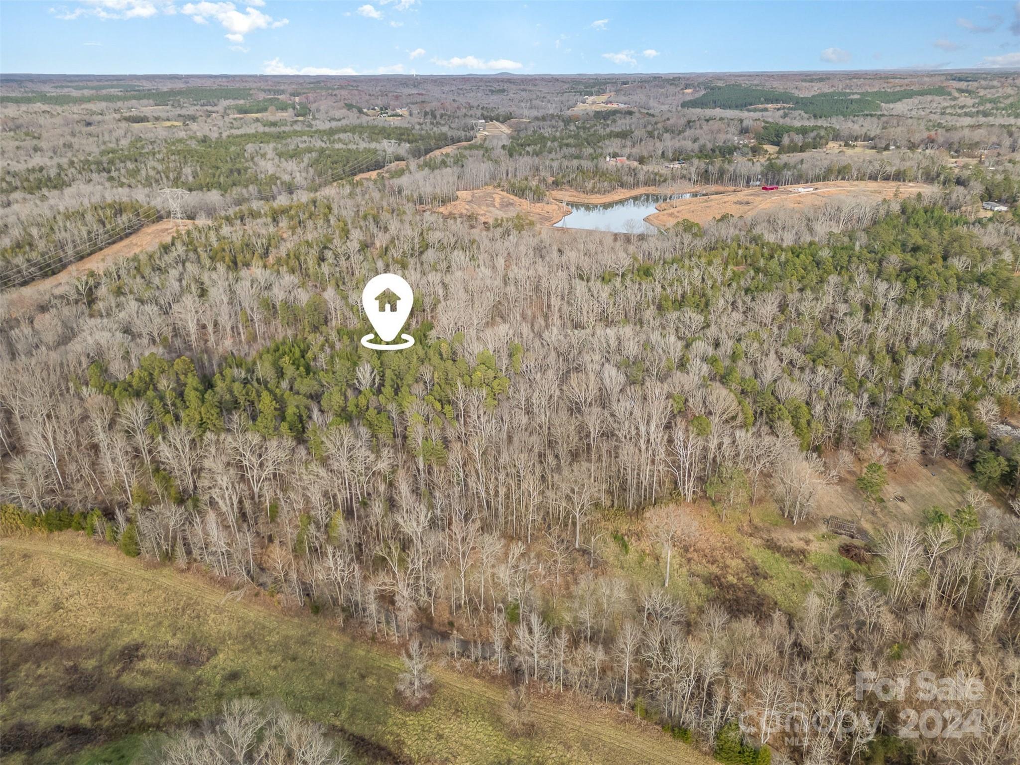 940 Turkey Creek Ridge Road York, SC 29745 - Photo 4 of 19