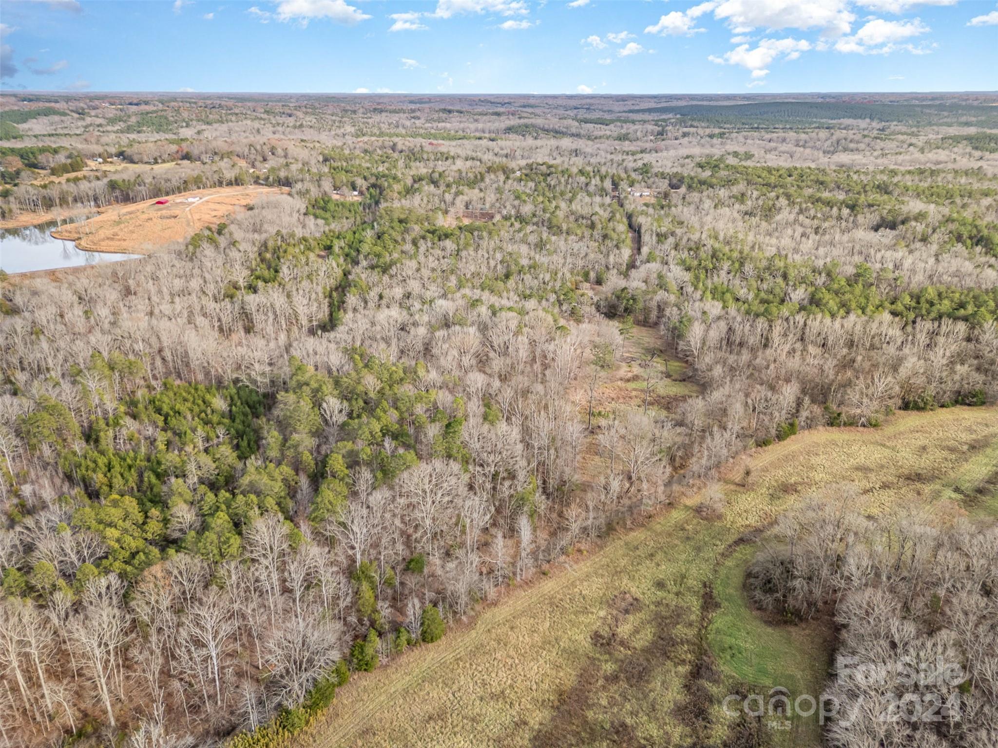 940 Turkey Creek Ridge Road York, SC 29745 - Photo 6 of 19