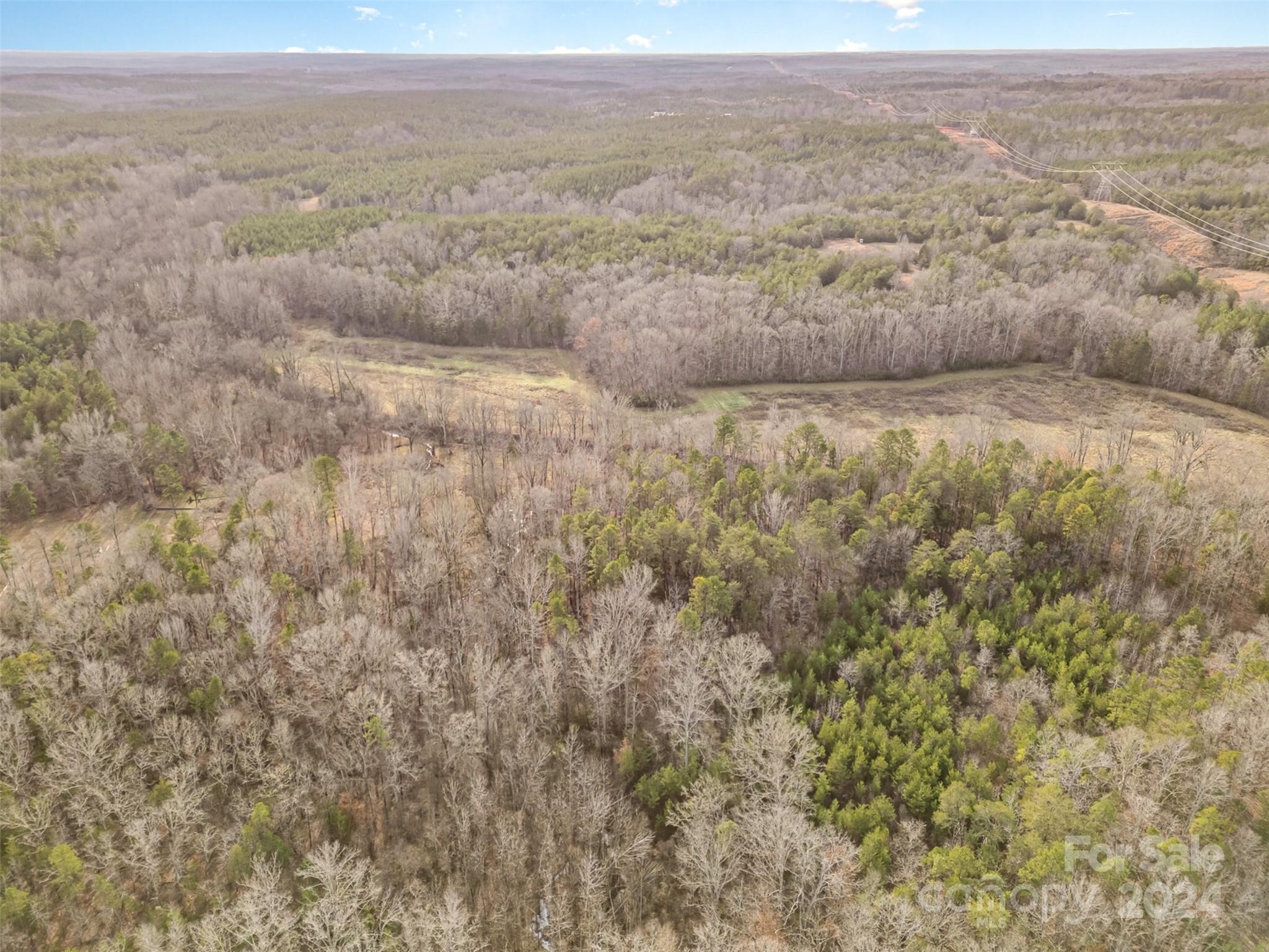 940 Turkey Creek Ridge Road York, SC 29745 - Photo 7 of 19