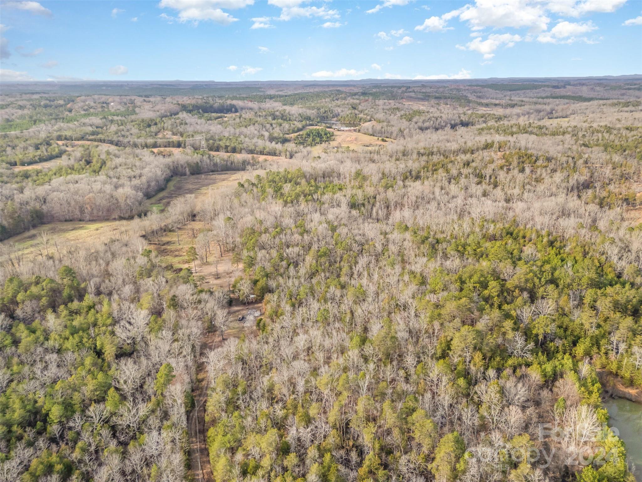 940 Turkey Creek Ridge Road York, SC 29745 - Photo 8 of 19