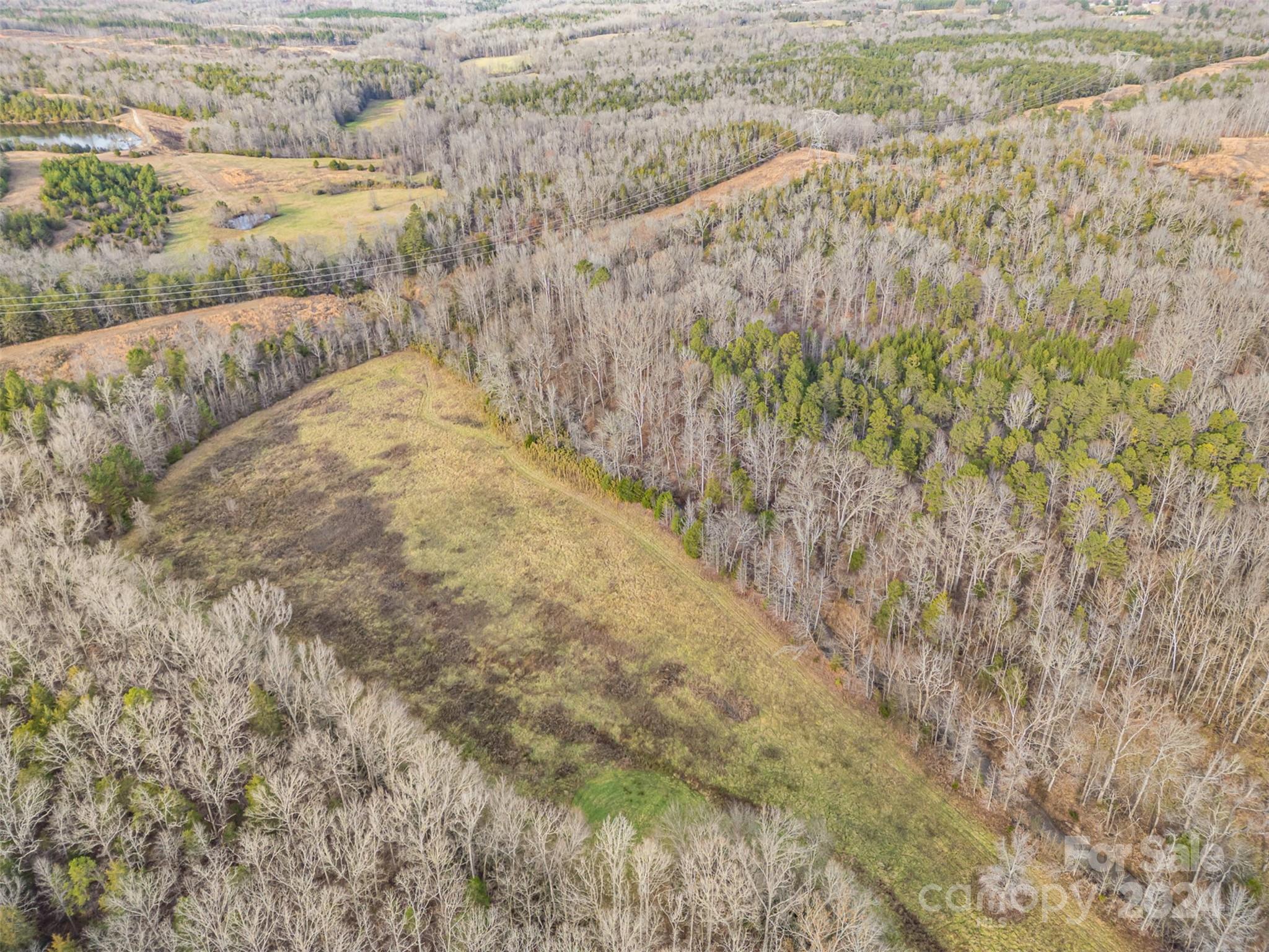940 Turkey Creek Ridge Road York, SC 29745 - Photo 9 of 19