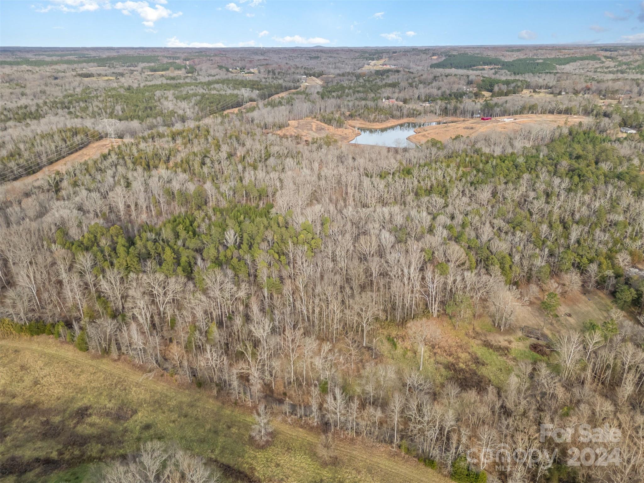 940 Turkey Creek Ridge Road York, SC 29745 - Photo 10 of 19
