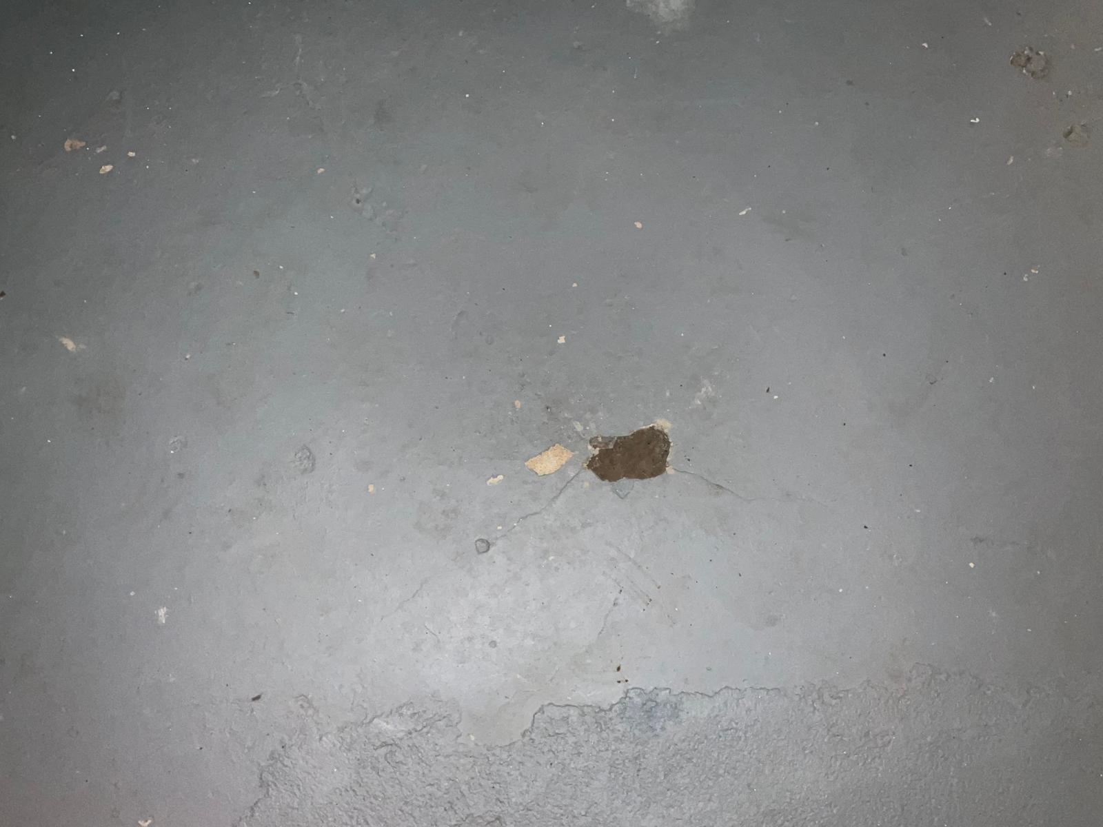 13564 Tuller Street Detroit, MI 48238 - Photo 12 of 13 file (11)