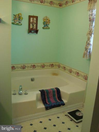 1544 Pine Ridge Road Inwood, WV 25428 - Photo 20 of 30 Masterbath Soaking Tub