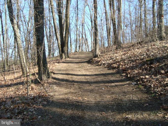 1544 Pine Ridge Road Inwood, WV 25428 - Photo 23 of 30 Road leading to Opequon Creek