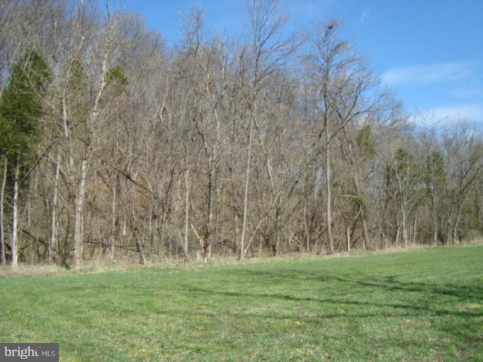 1544 Pine Ridge Road Inwood, WV 25428 - Photo 27 of 30 View of Meadow