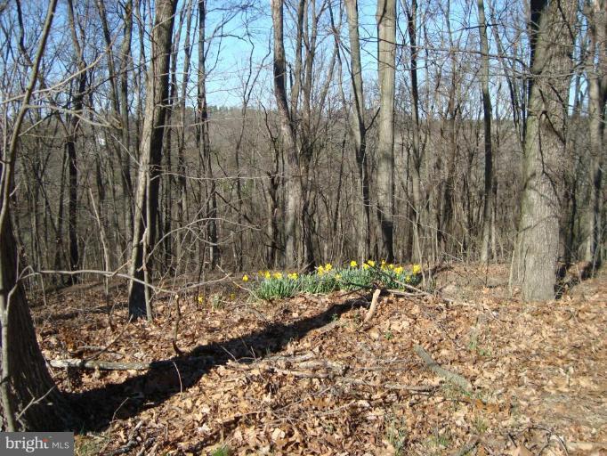 1544 Pine Ridge Road Inwood, WV 25428 - Photo 29 of 30 Mountain Views