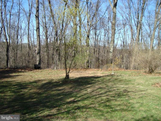 1544 Pine Ridge Road Inwood, WV 25428 - Photo 30 of 30 Rear Yard