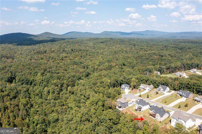 61 Roberson Drive White, GA 30184 - Photo 45 of 46 a view of lake with mountain