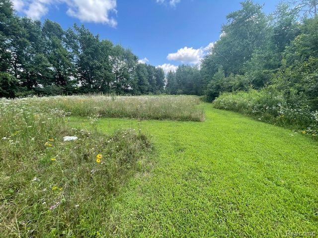 7715 Bell Road Birch Run, MI 48415 - Photo 49 of 50