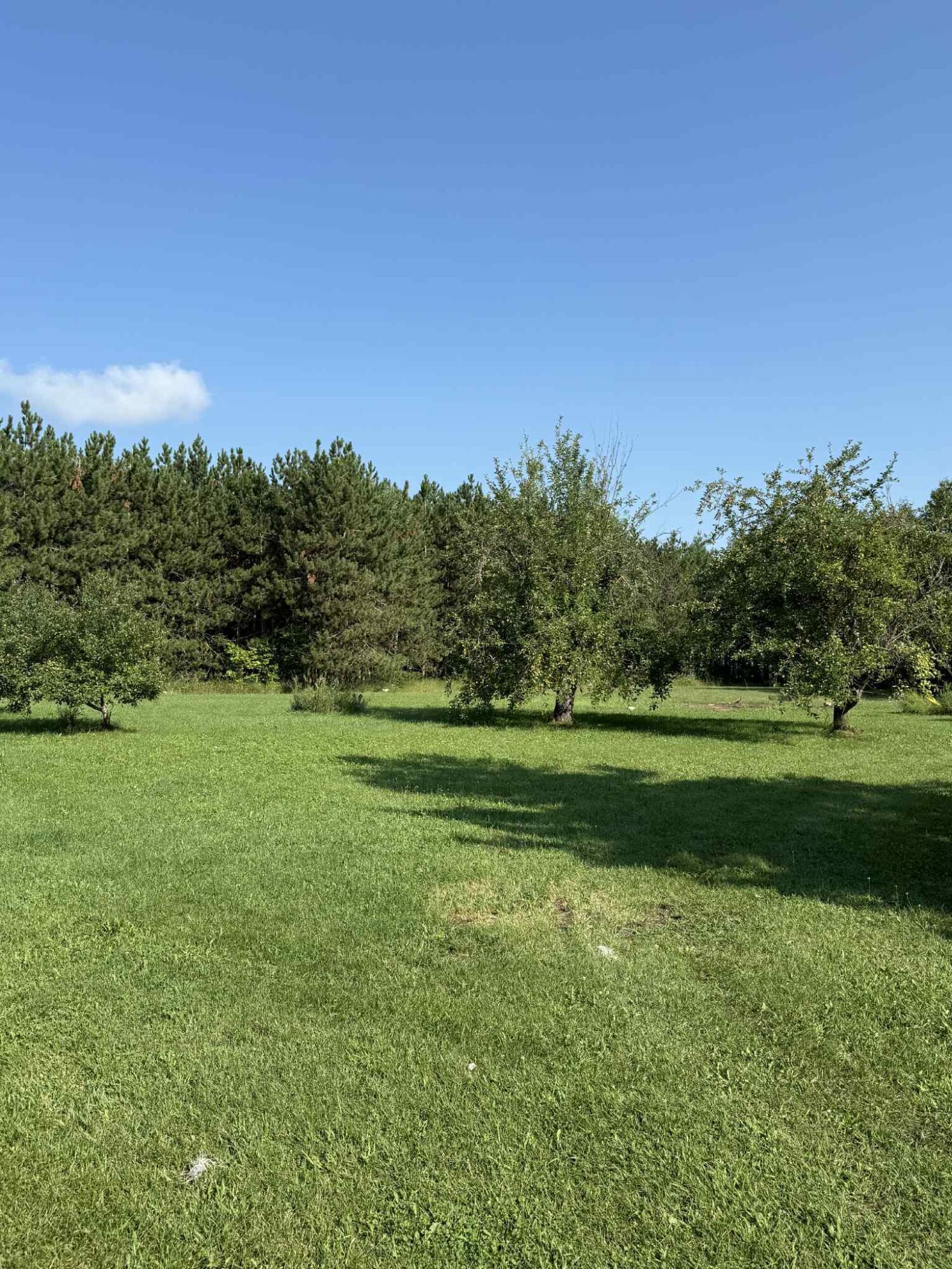 14878 Werth Road Lachine, MI 49753 - Photo 17 of 21 d4718aaa-5d7c-4f34-b7eb-e5862cf1e846