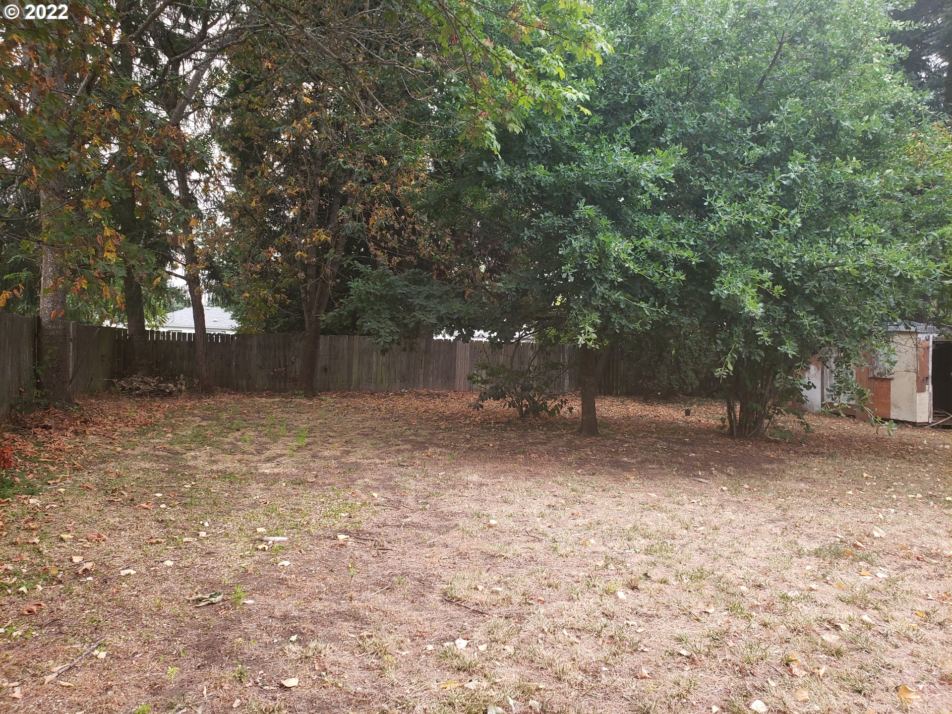 1415 Water Street Springfield, OR 97477 - Photo 3 of 5 a view of a backyard with large trees