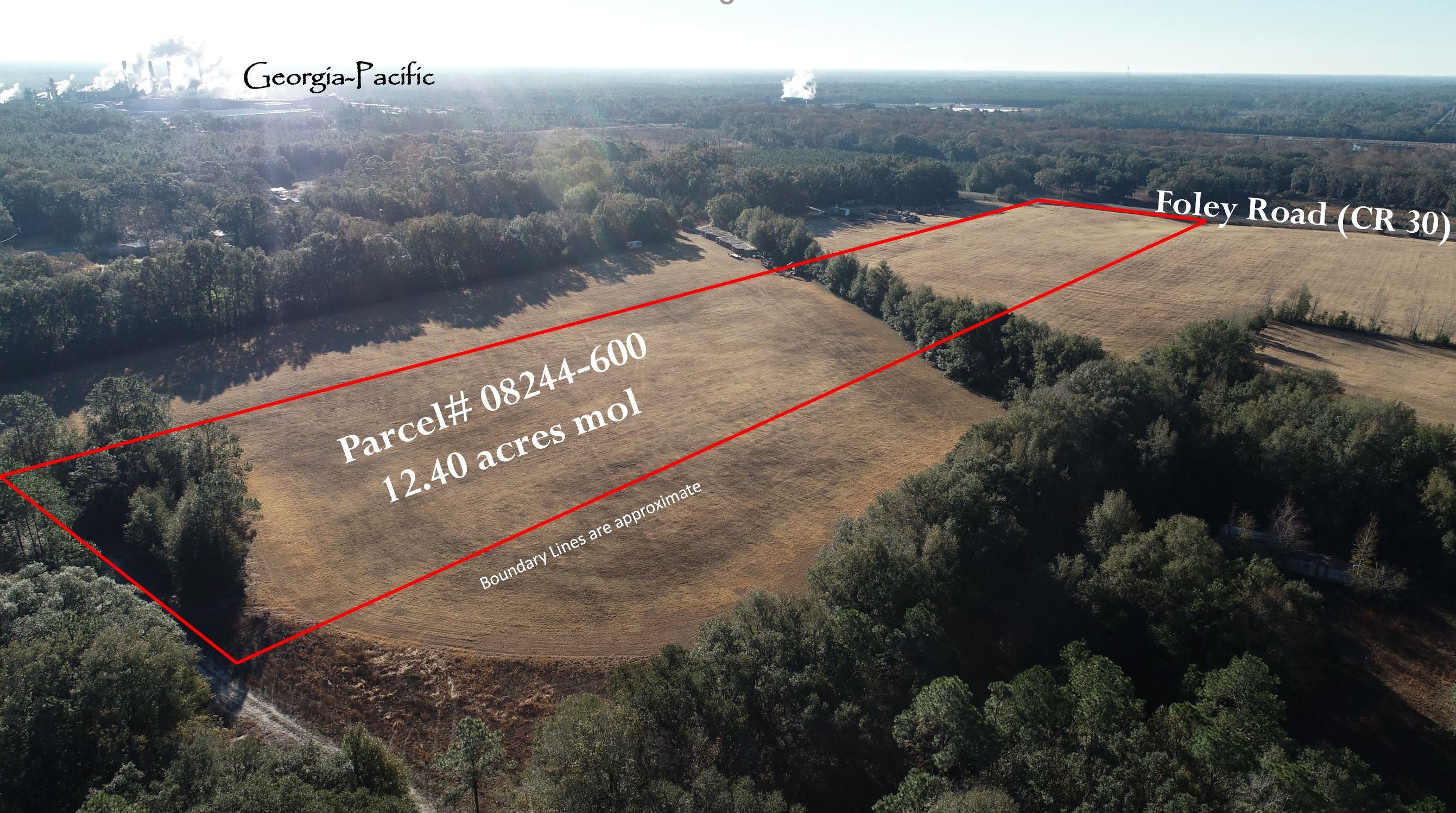 0 Foley Road Perry, FL 32348 - Photo 11 of 15