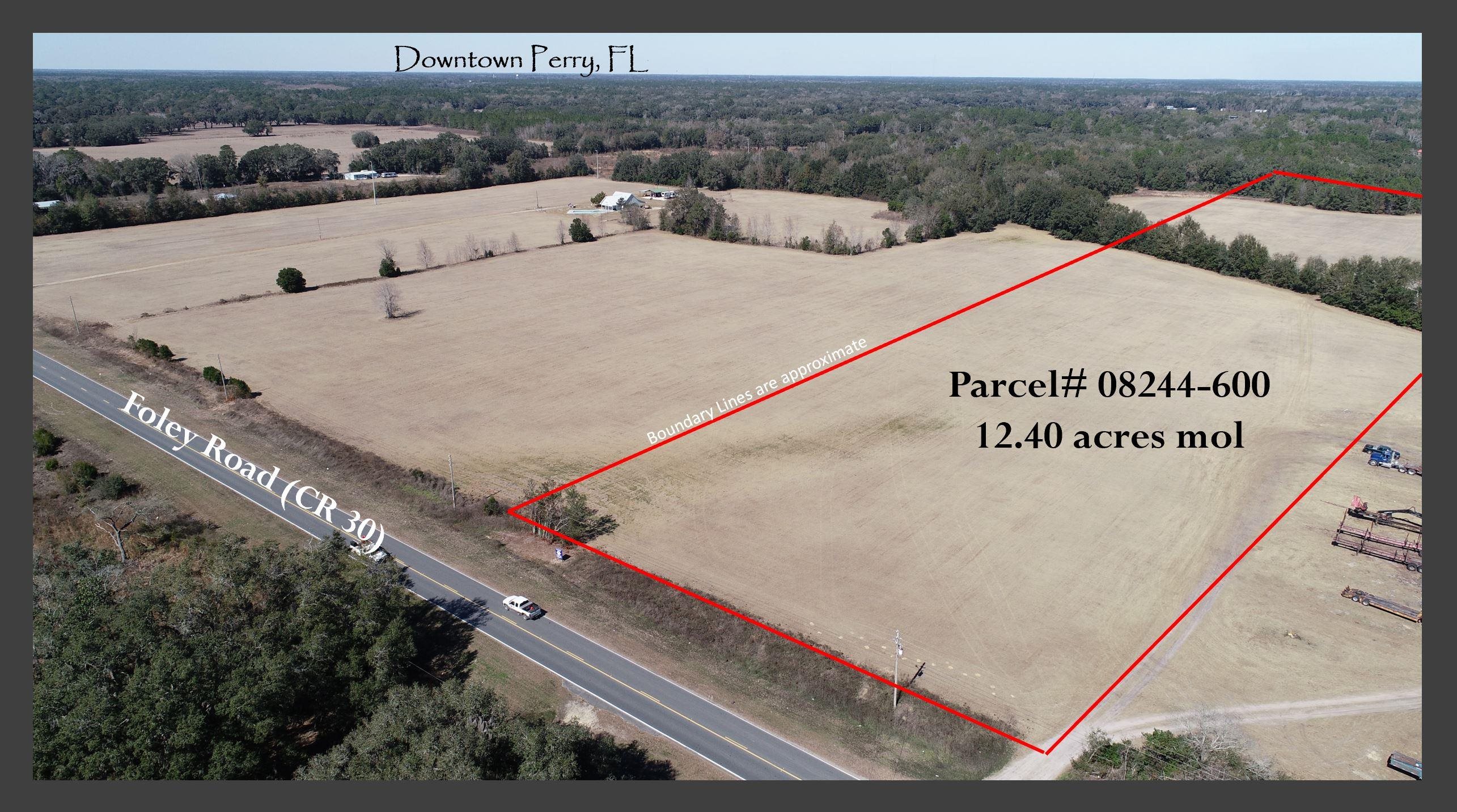 0 Foley Road Perry, FL 32348 - Photo 3 of 15