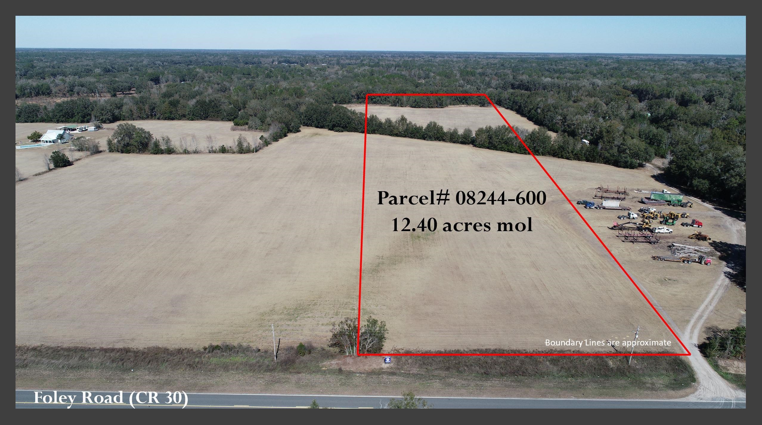 0 Foley Road Perry, FL 32348 - Photo 4 of 15