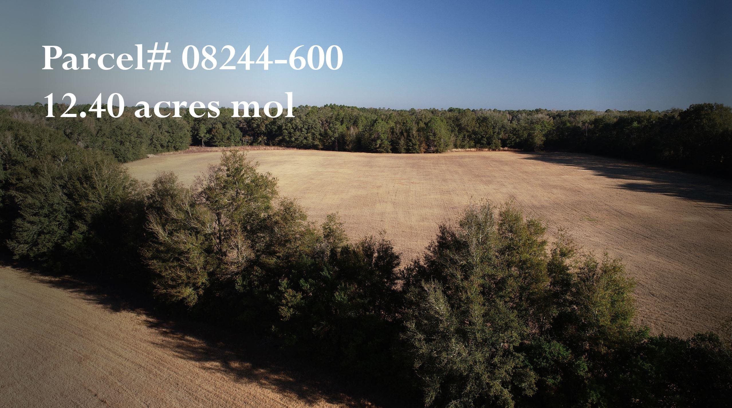 0 Foley Road Perry, FL 32348 - Photo 9 of 15