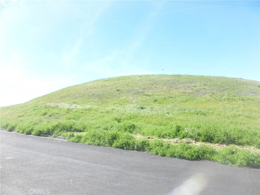 0 Douglas Road San Miguel, CA 93451 - Photo 25 of 75
