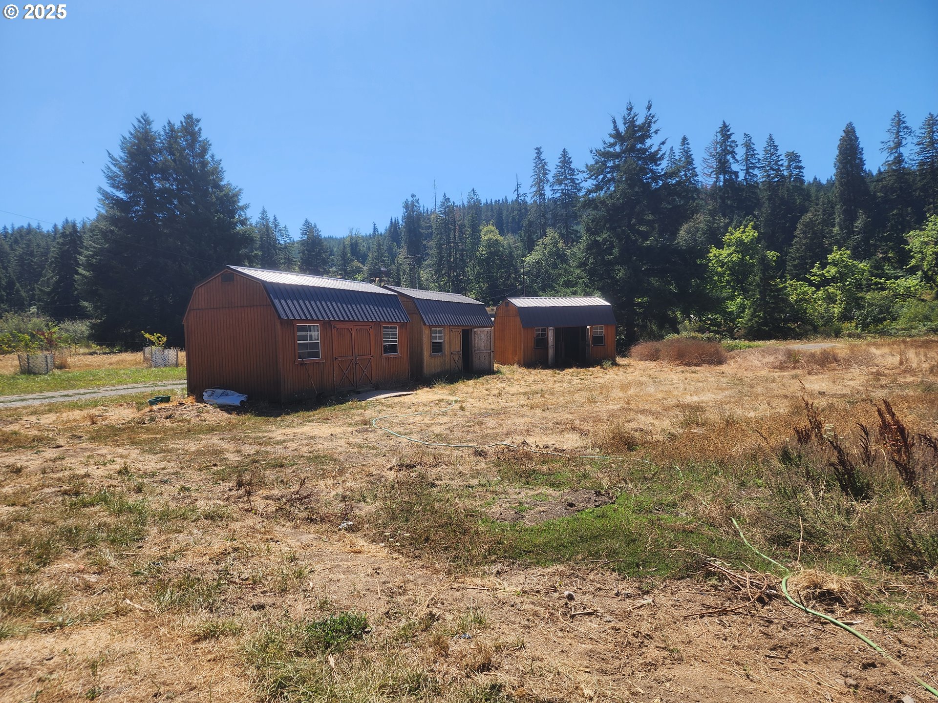 920 Buck Creek Road Drain, OR 97435 - Photo 2 of 18