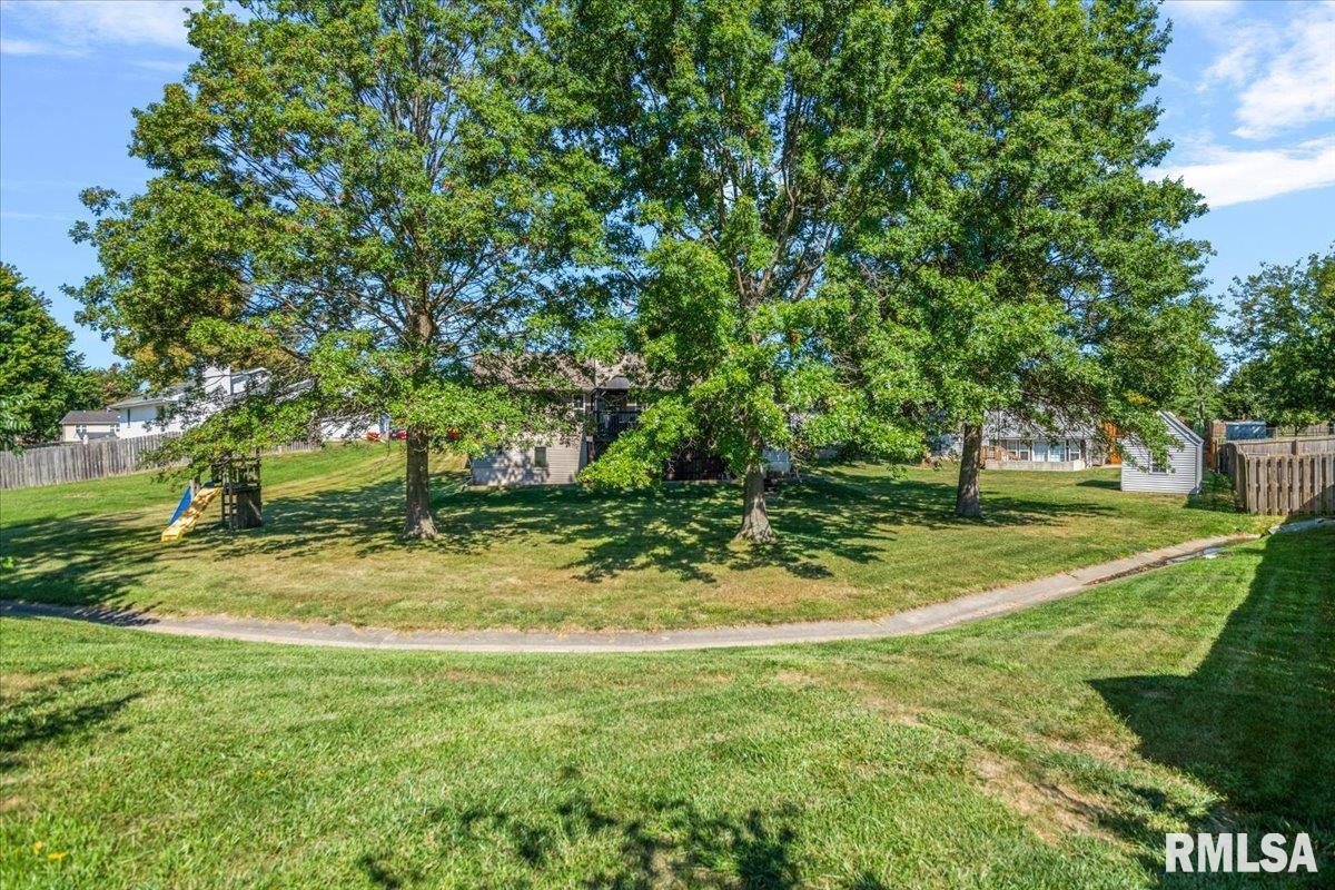 508 Violet Ridge Chatham, IL 62629 - Photo 46 of 51 Gallery Image 46