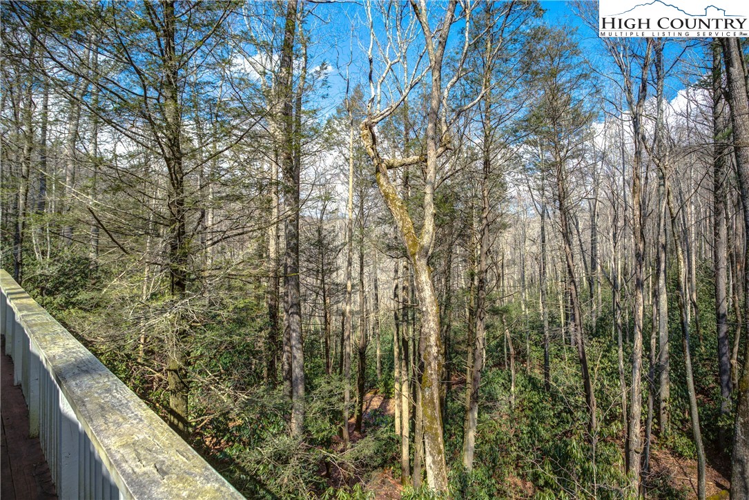 209 Birch Road Boone, NC 28607 - Photo 10 of 37