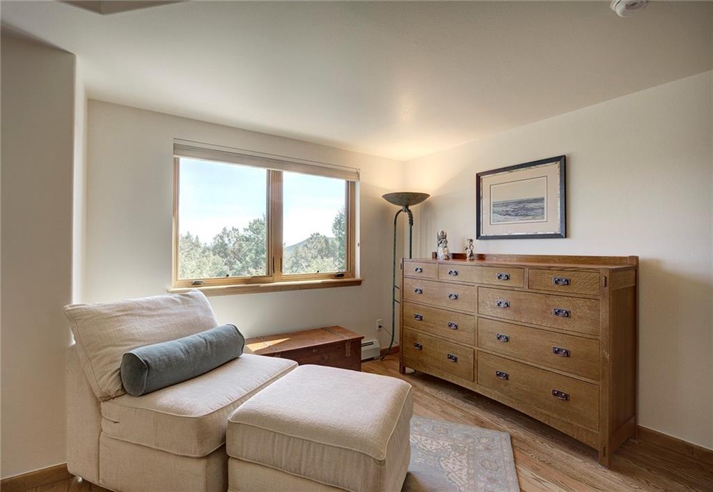 78 Double Tree Road Bailey, CO 80421 - Photo 17 of 34 a living room with furniture and a window