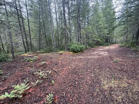 Lone Mountain Road, Unit 1300 Cave Junction, OR 97523 - Photo 15 of 15 Headed back to driveway entrance