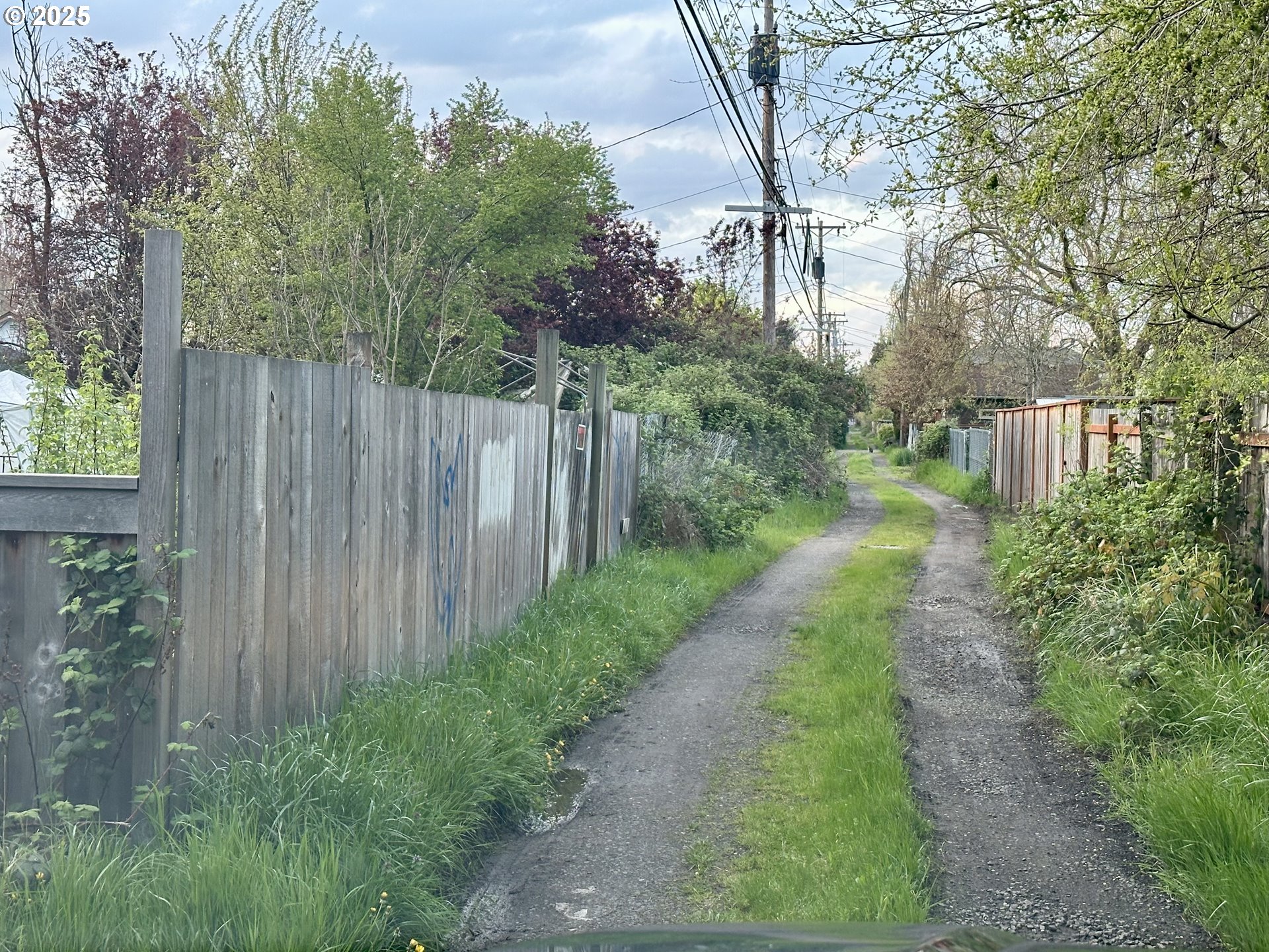 2775 Hilyard Street Eugene, OR 97405 - Photo 27 of 27 a view of a pathway of a yard along with trees