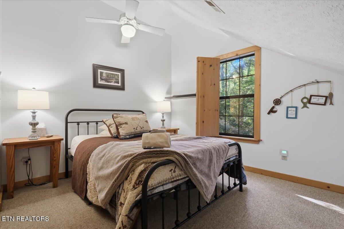 739 Stonegate Way Townsend, TN 37882 - Photo 24 of 49 32-028_1I2A2562
