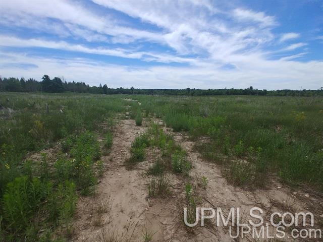 40-acres Davidson Road Manistique, MI 49854 - Photo 5 of 30 Gallery Image 5