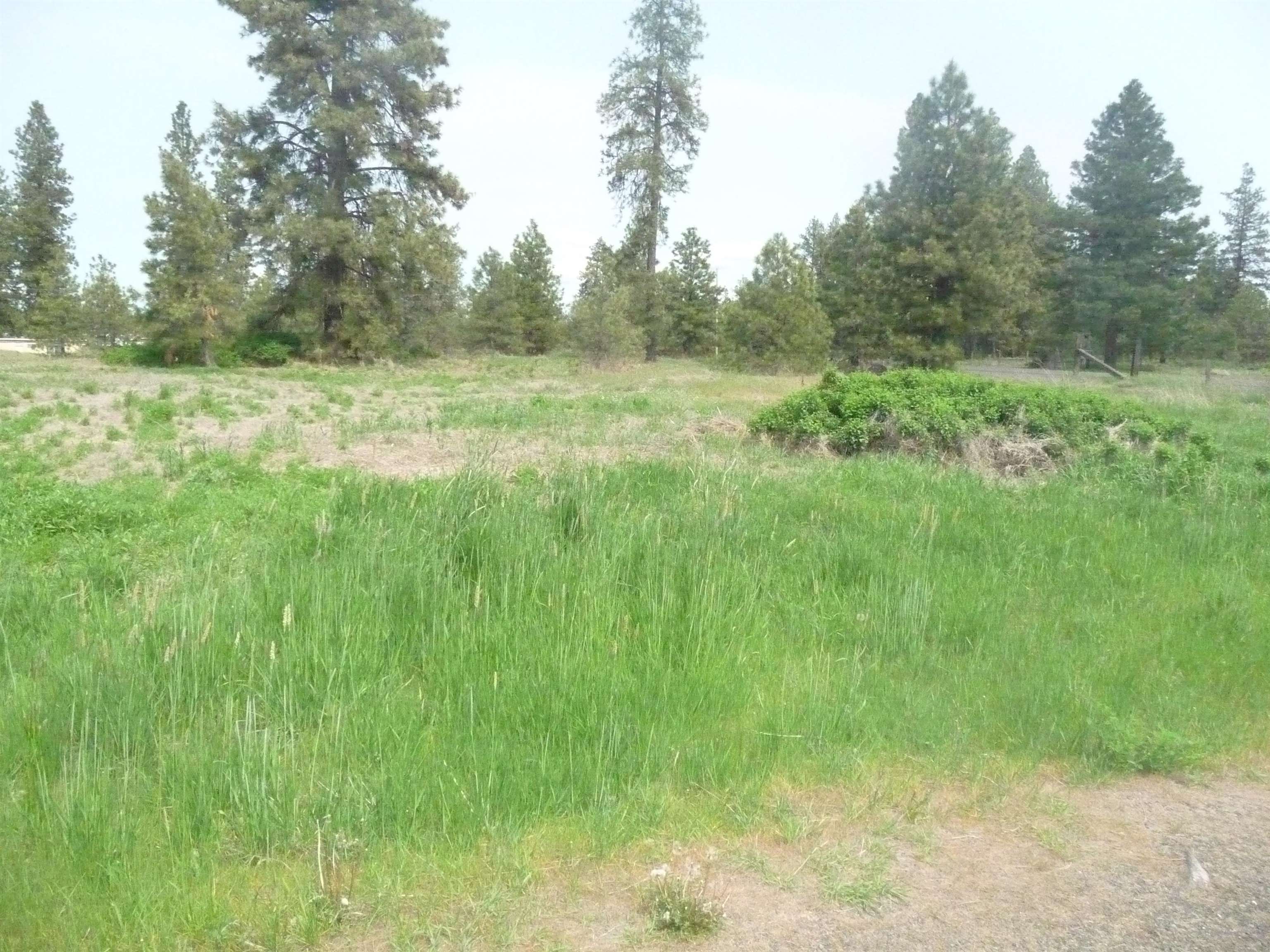 16212 West Lance Hill Road Cheney, WA 99004 - Photo 1 of 9 Gallery Image 1
