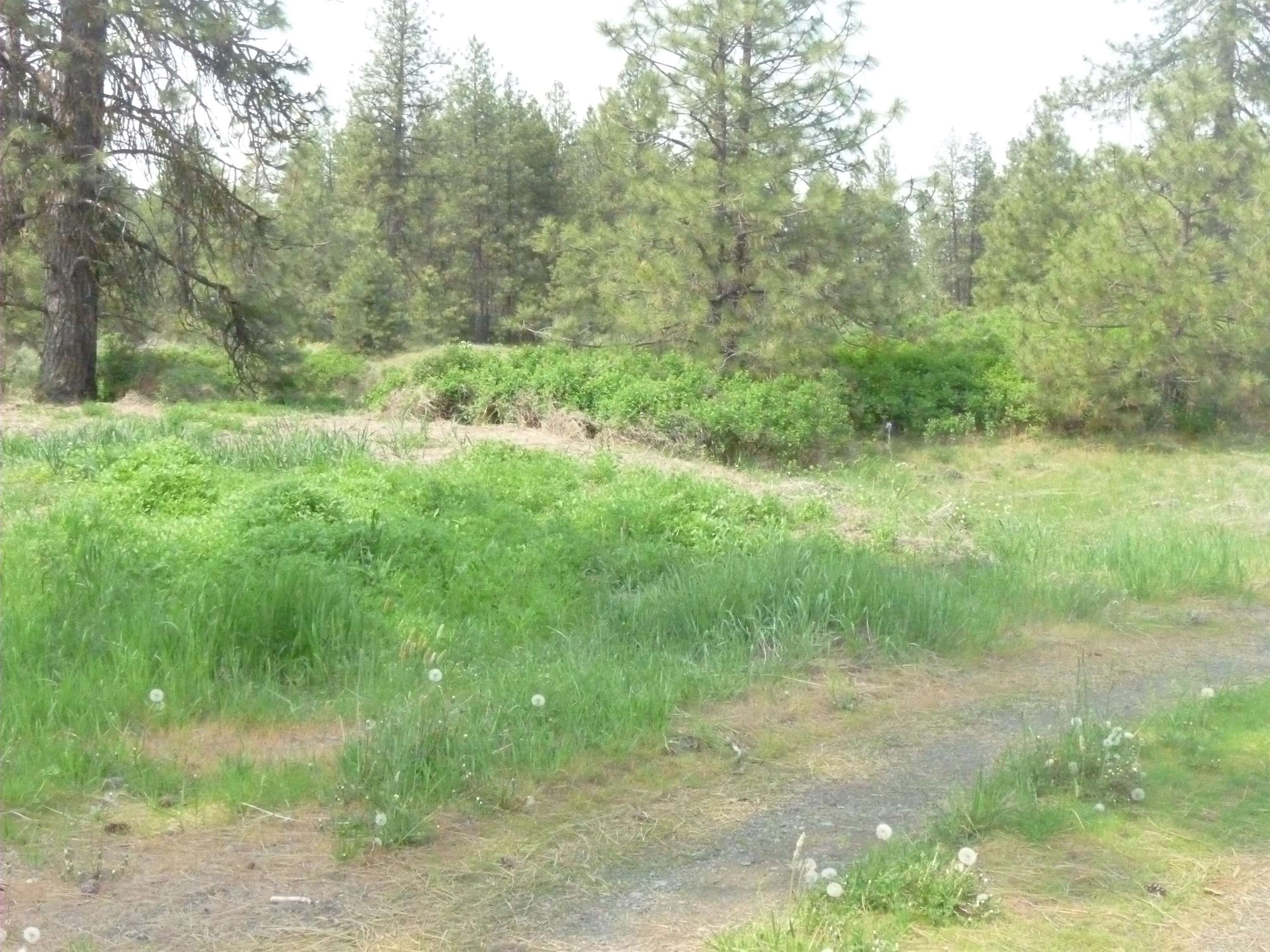 16212 West Lance Hill Road Cheney, WA 99004 - Photo 3 of 9 Gallery Image 3