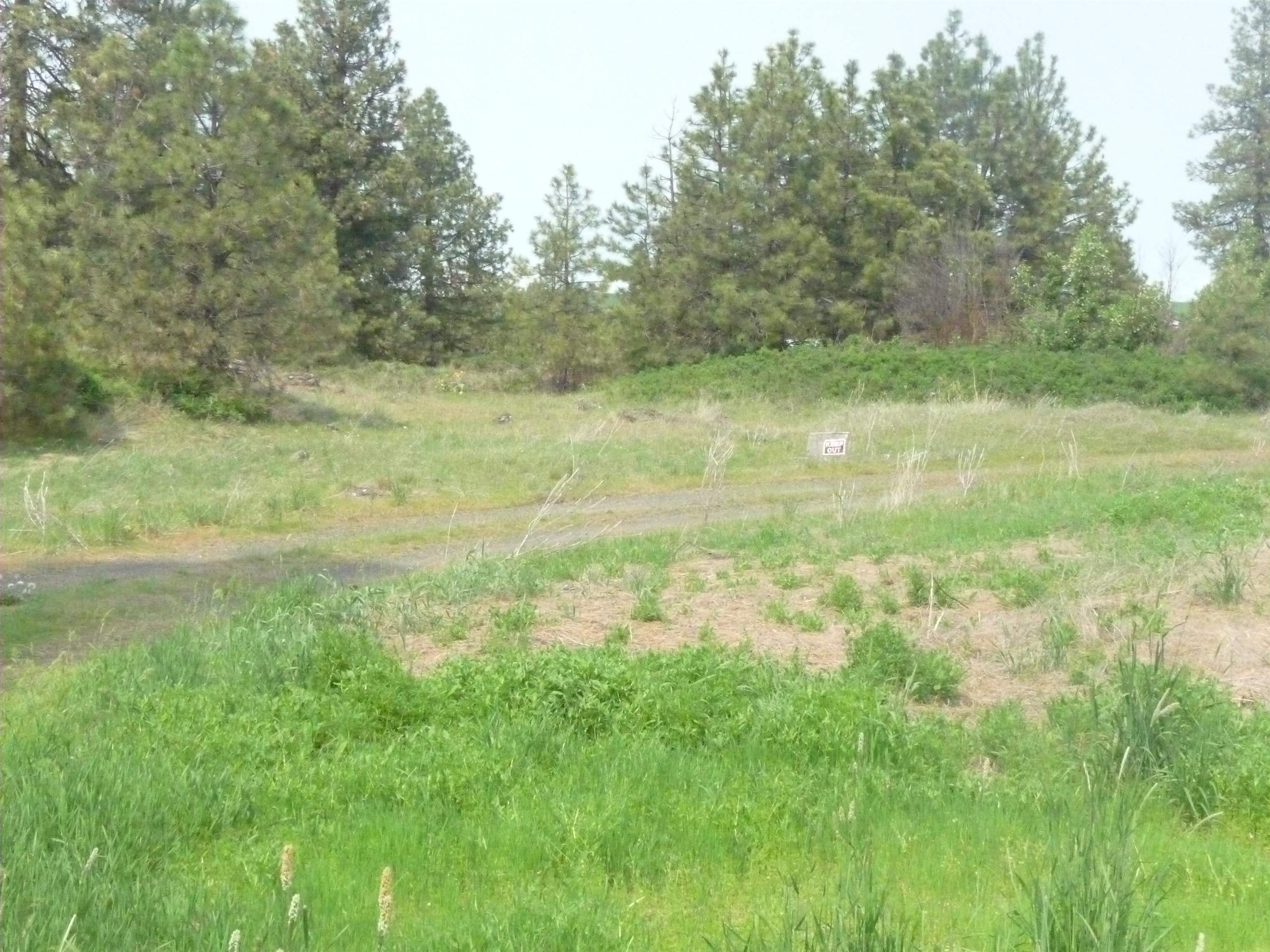 16212 West Lance Hill Road Cheney, WA 99004 - Photo 4 of 9 Gallery Image 4