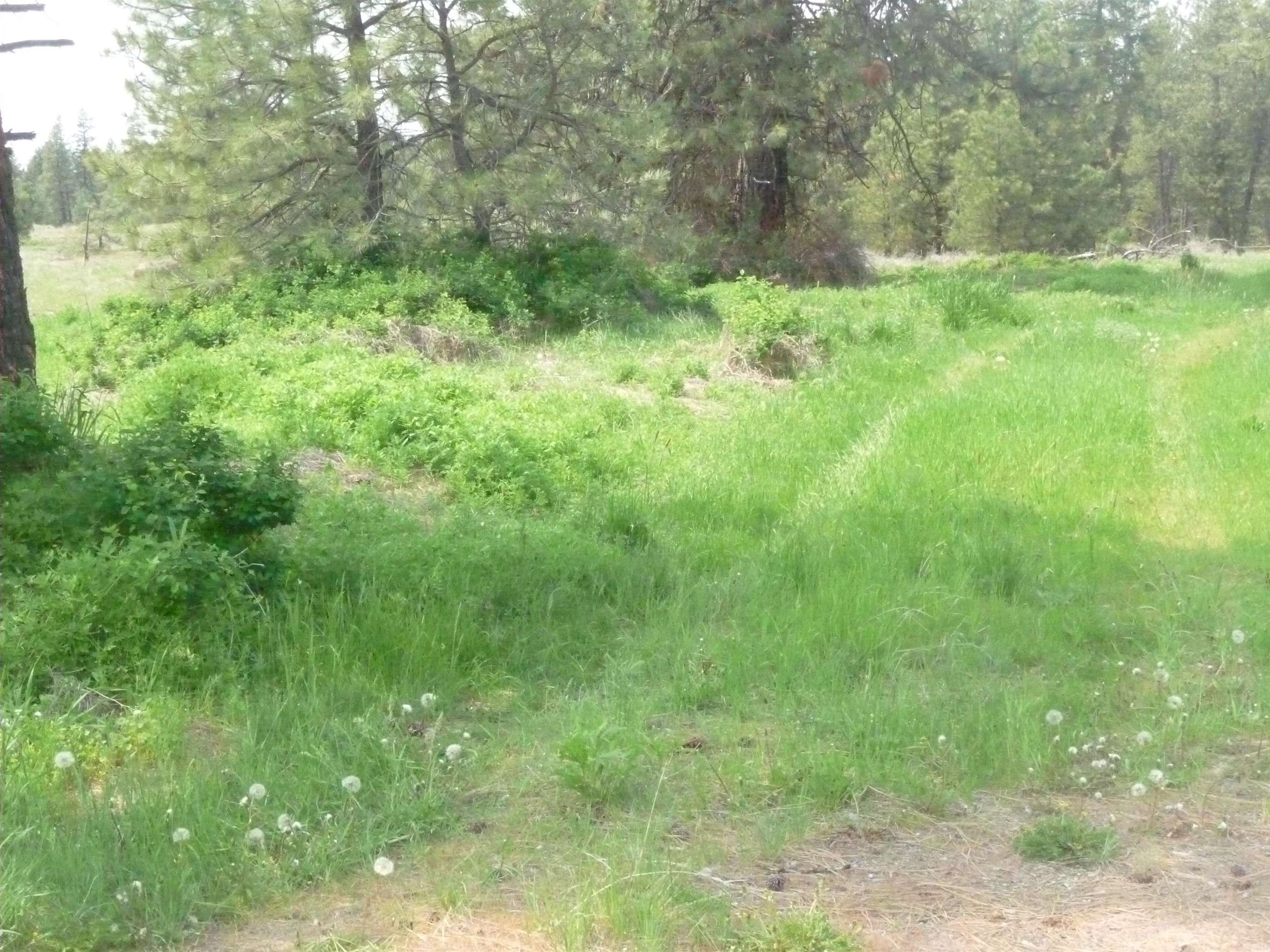 16212 West Lance Hill Road Cheney, WA 99004 - Photo 5 of 9 Gallery Image 5