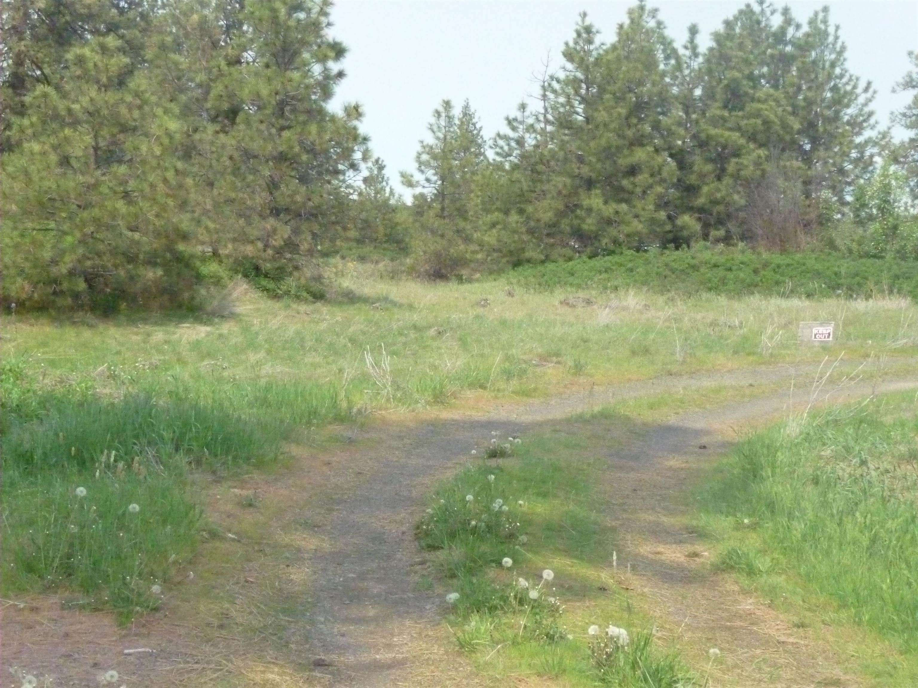 16212 West Lance Hill Road Cheney, WA 99004 - Photo 7 of 9 Gallery Image 7