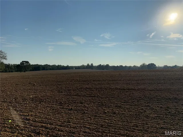 $287,500 | 0 Off Bcr 810 Glen, Glenallen, MO 63751