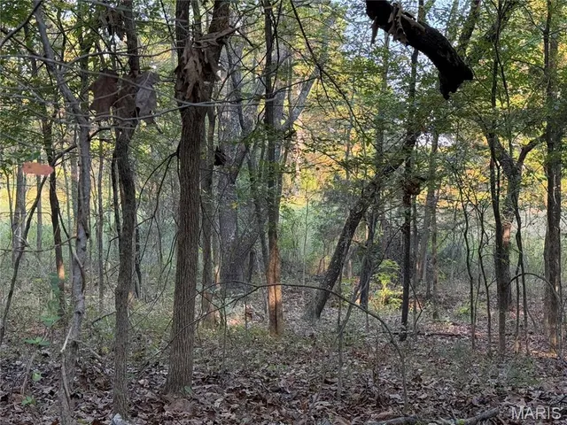 $287,500 | 0 Off Bcr 810 Glen, Glenallen, MO 63751