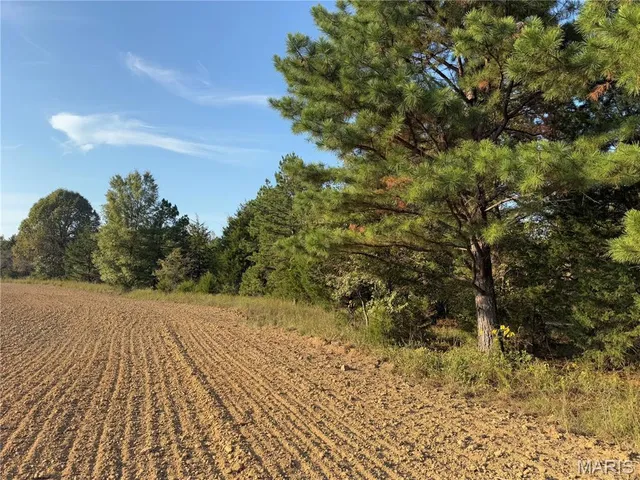 $287,500 | 0 Off Bcr 810 Glen, Glenallen, MO 63751