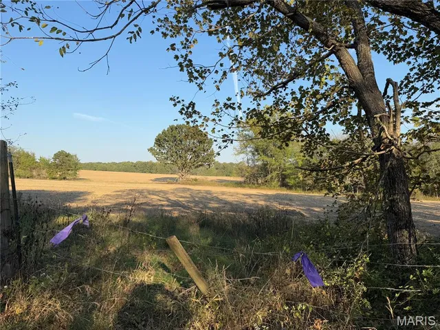 $287,500 | 0 Off Bcr 810 Glen, Glenallen, MO 63751