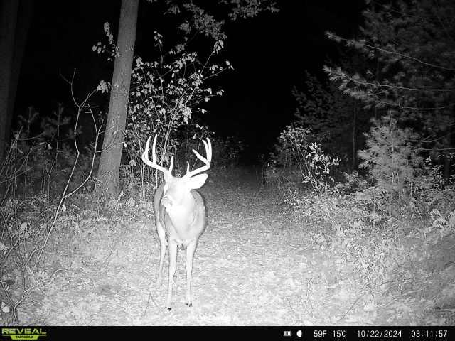 Lot 4 Grayling Tomah, WI 54660 - Photo 43 of 50