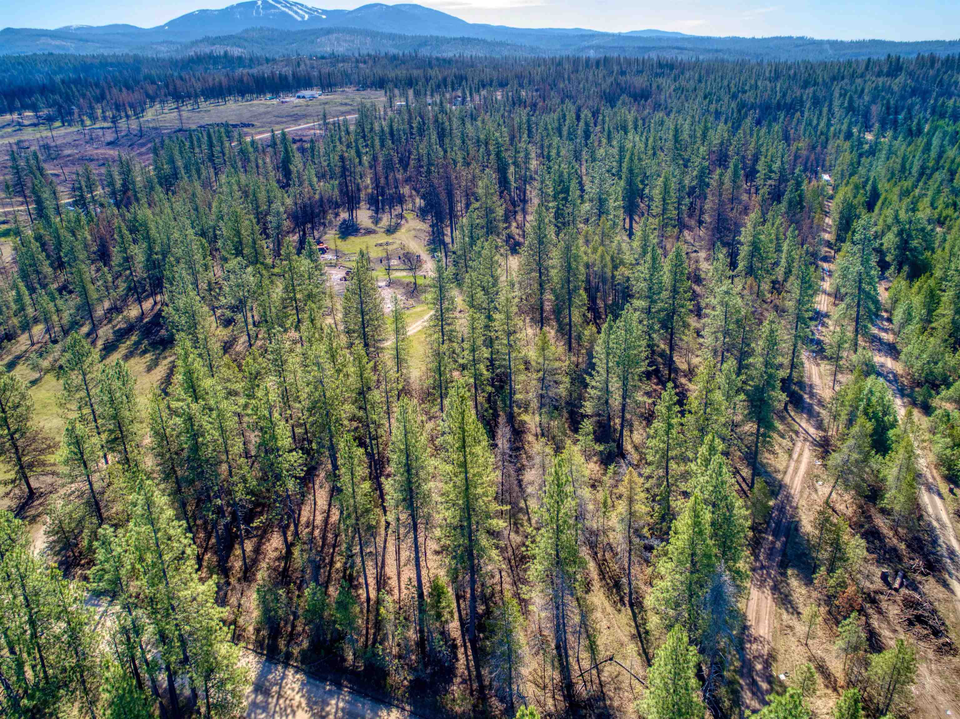 13100 East Bridges Road Elk, WA 99009 - Photo 2 of 9
