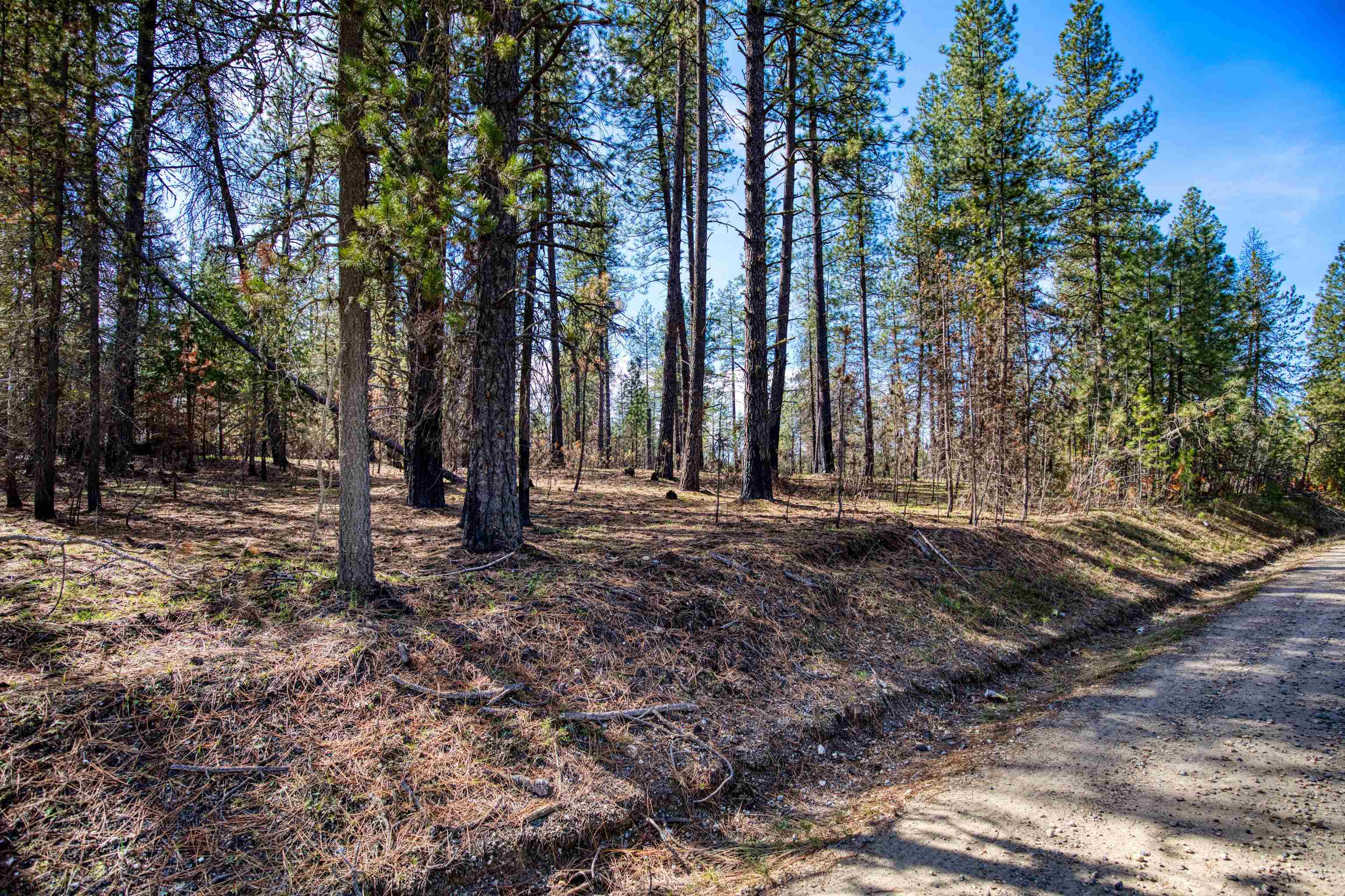 13100 East Bridges Road Elk, WA 99009 - Photo 3 of 9