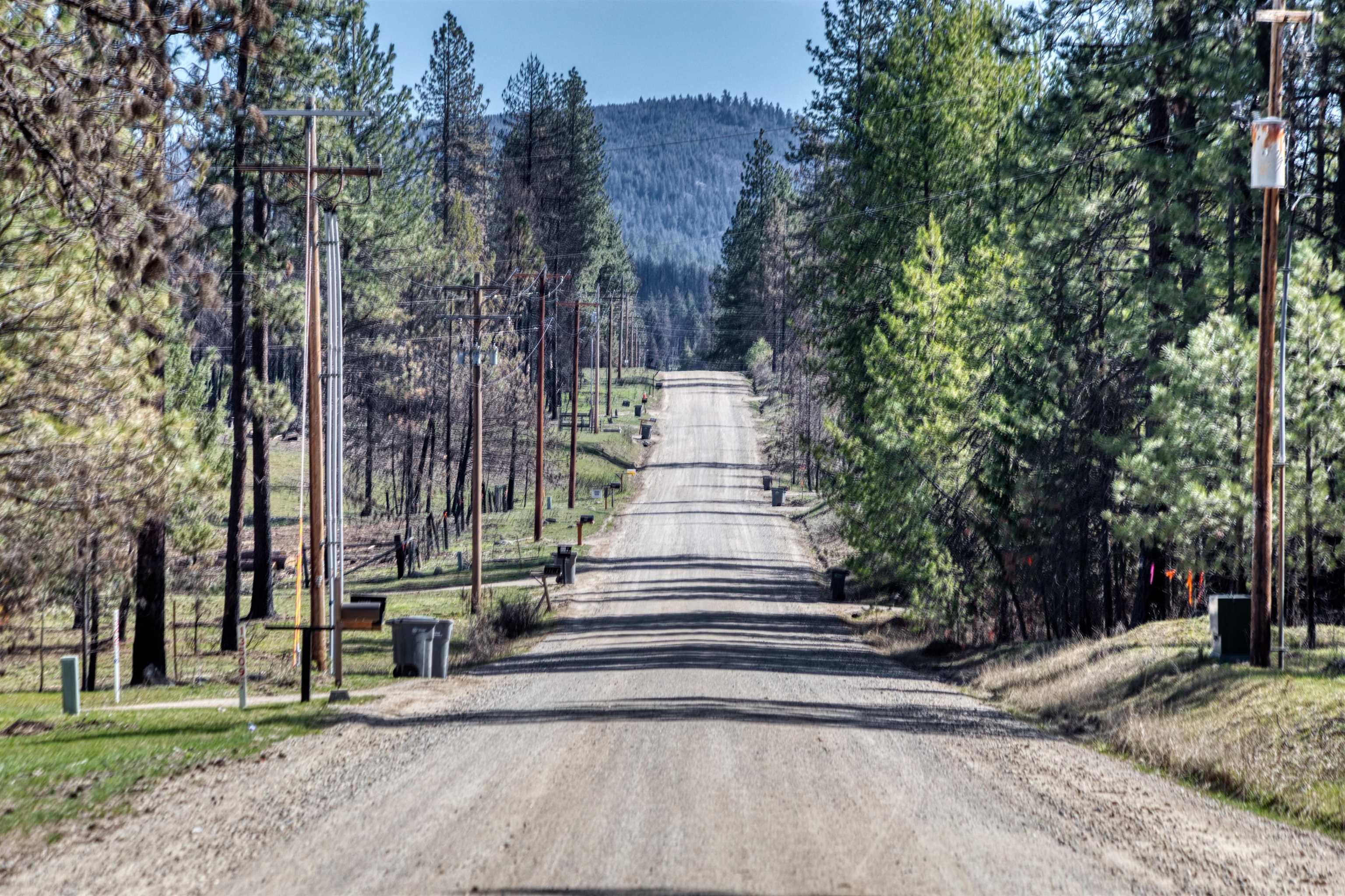 13100 East Bridges Road Elk, WA 99009 - Photo 7 of 9