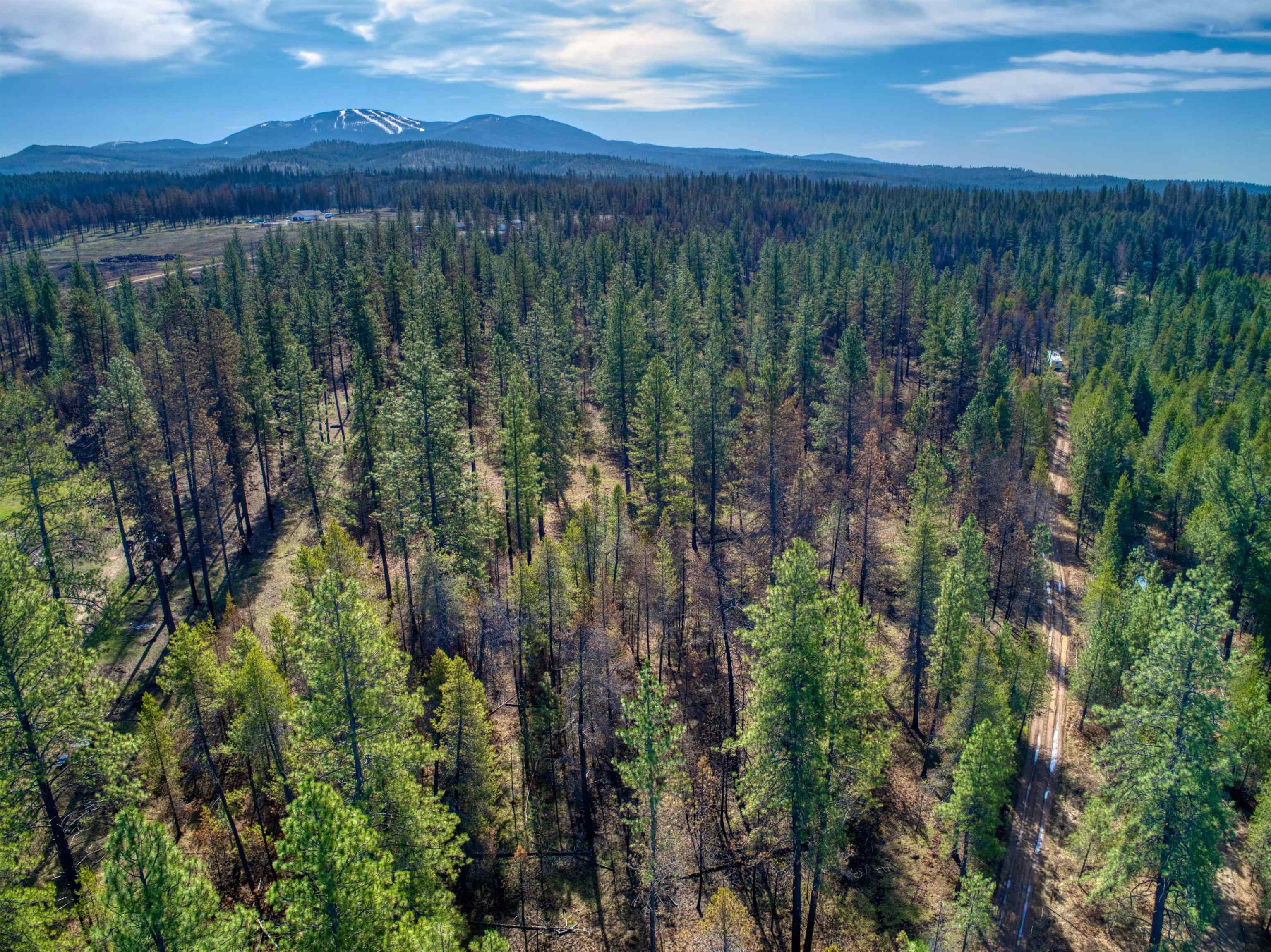 13100 East Bridges Road Elk, WA 99009 - Photo 8 of 9