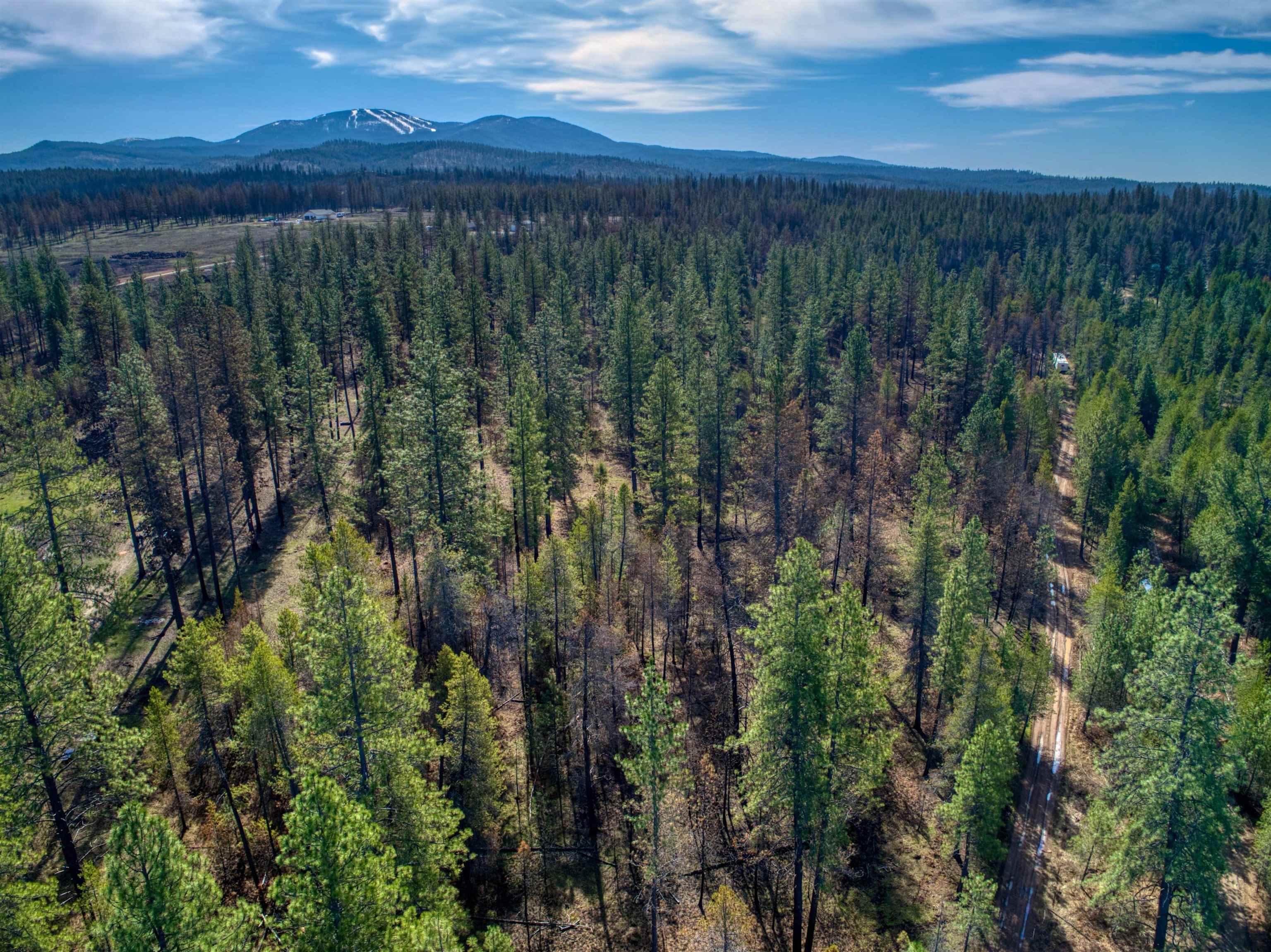 13100 East Bridges Road Elk, WA 99009 - Photo 9 of 9
